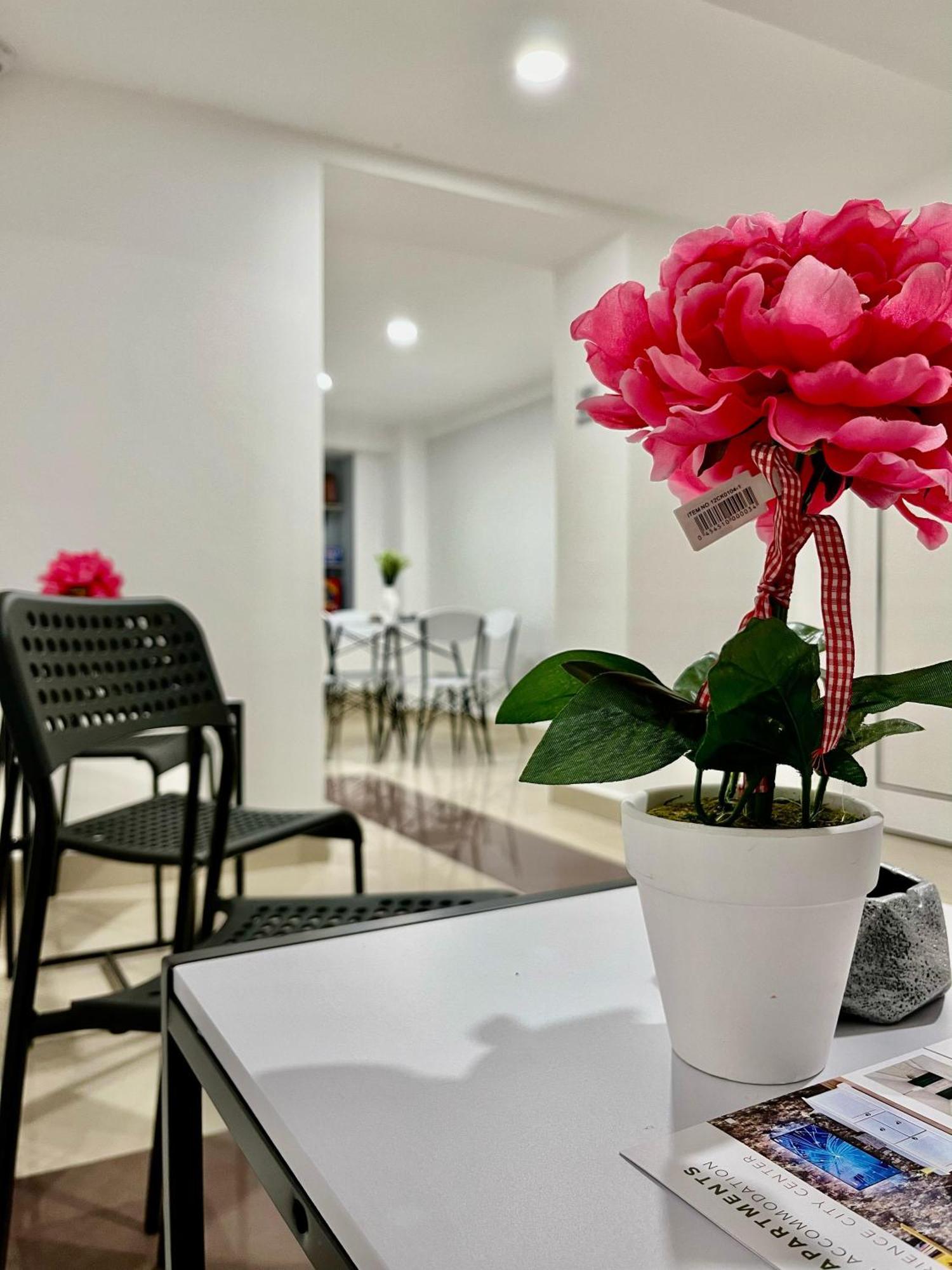 Cozy Hideout - Condo Hotel Temesvár Kültér fotó